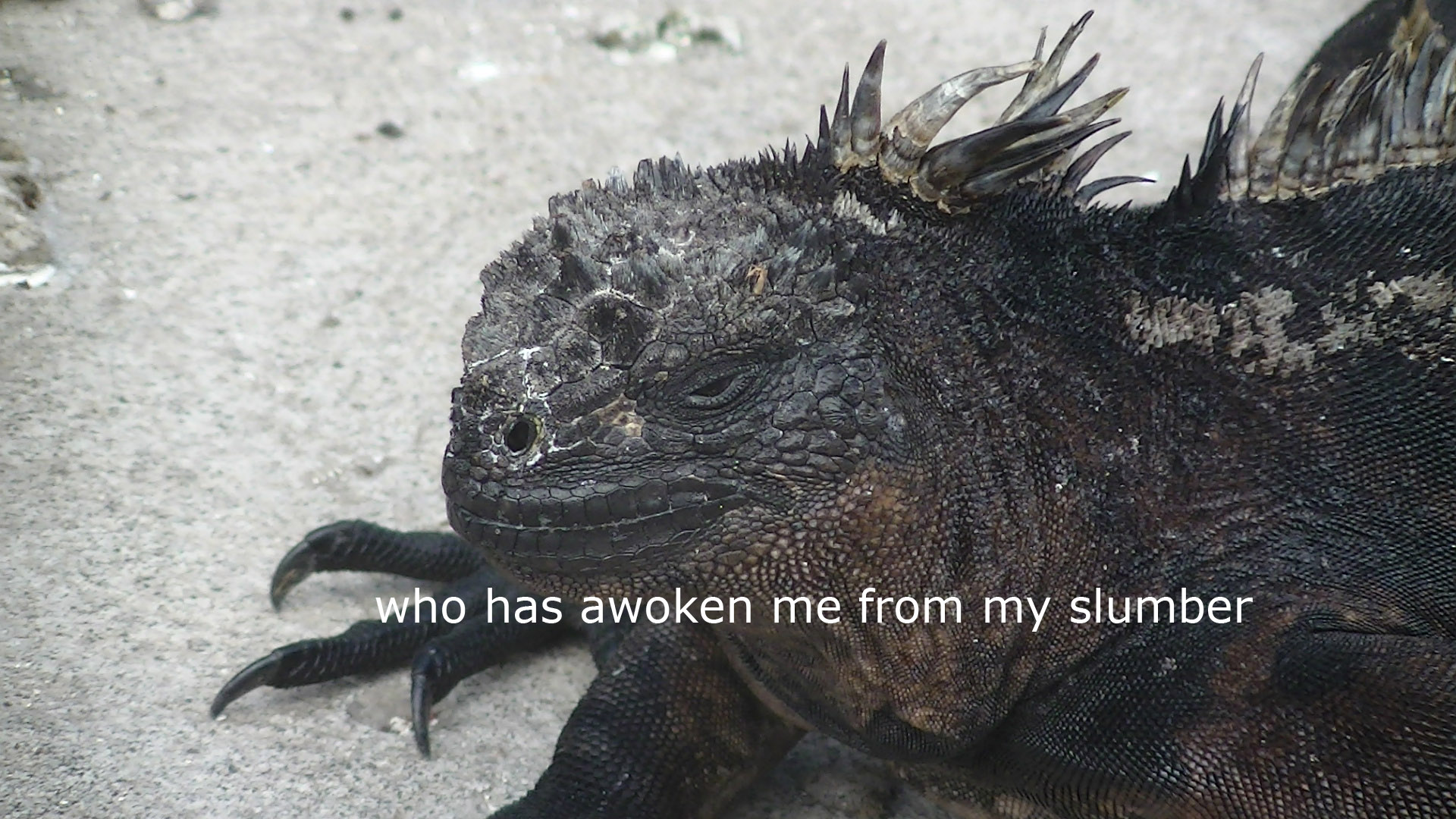 awake.jpg